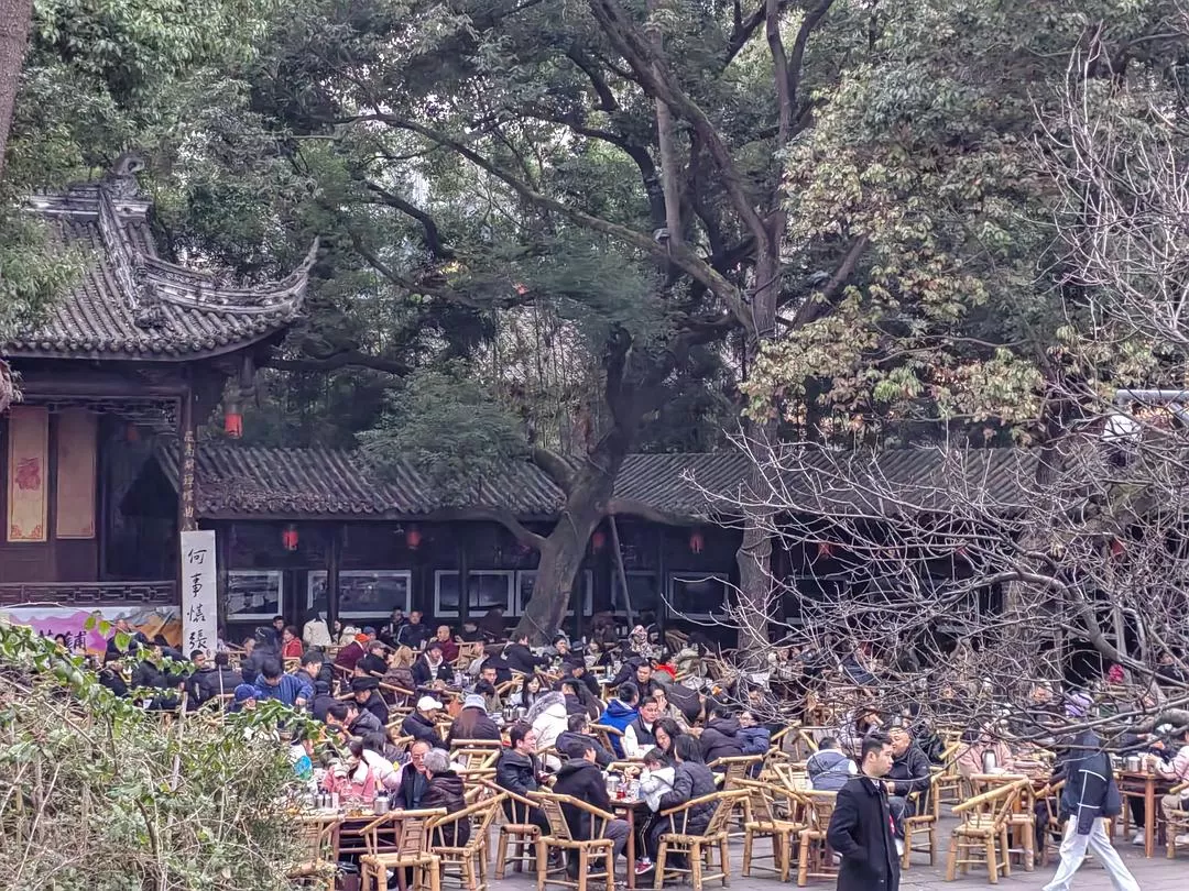 旅游推荐2024🏆年终旅行回顾，去了川西北海银川中卫贵阳扎尕那，满足于旅行带来的小美好