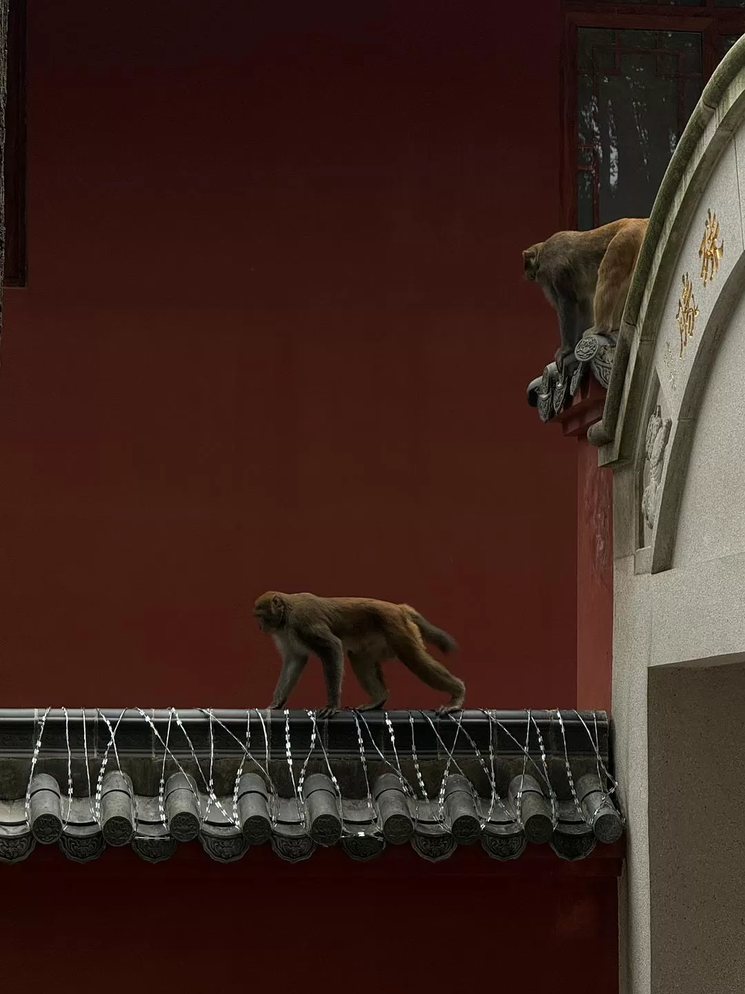 旅游推荐2024🏆年终旅行回顾，去了川西北海银川中卫贵阳扎尕那，满足于旅行带来的小美好