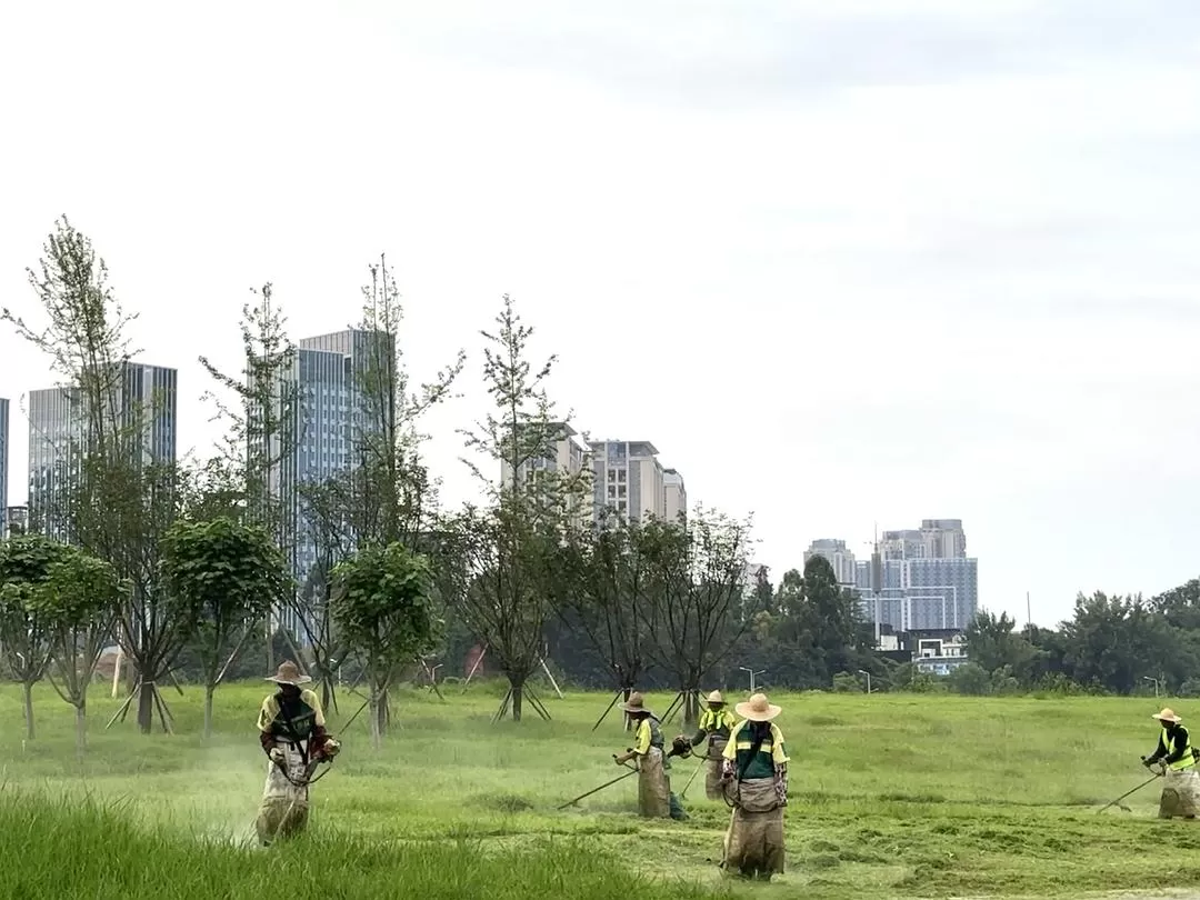 旅游推荐2024🏆年终旅行回顾，去了川西北海银川中卫贵阳扎尕那，满足于旅行带来的小美好