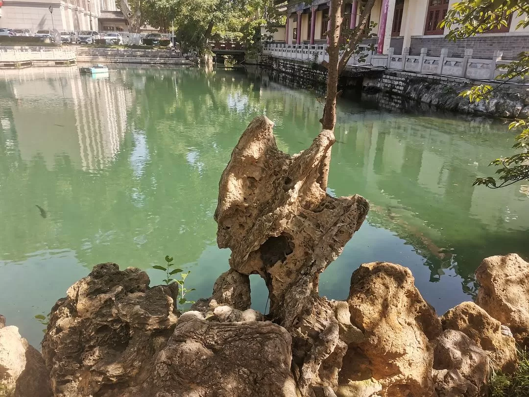 旅游💖推荐两人游：济南泉水清，可以濯我缨