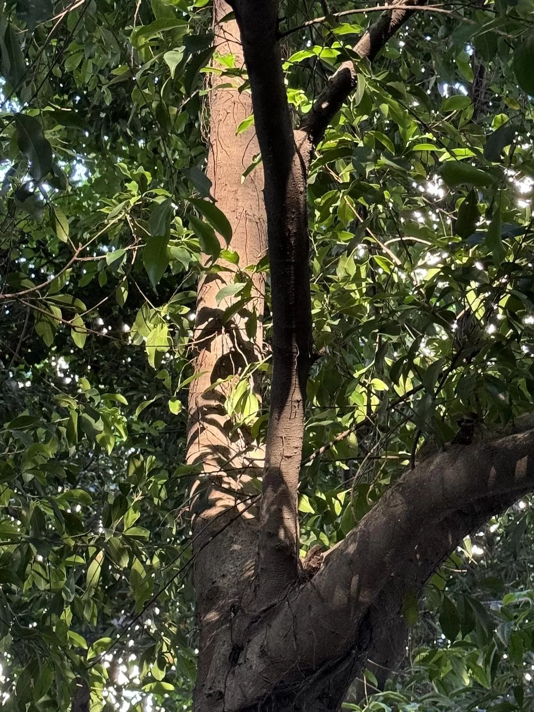 旅游推荐2024🏆年终旅行回顾，去了川西北海银川中卫贵阳扎尕那，满足于旅行带来的小美好