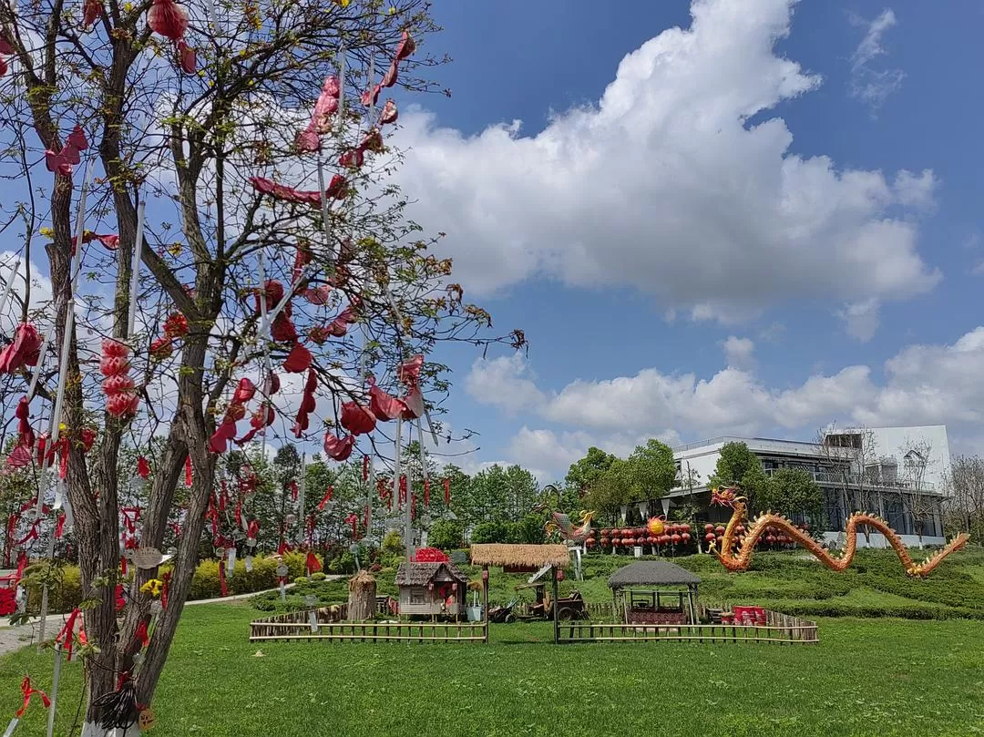 旅游推荐2024🏆年终旅行回顾，去了川西北海银川中卫贵阳扎尕那，满足于旅行带来的小美好