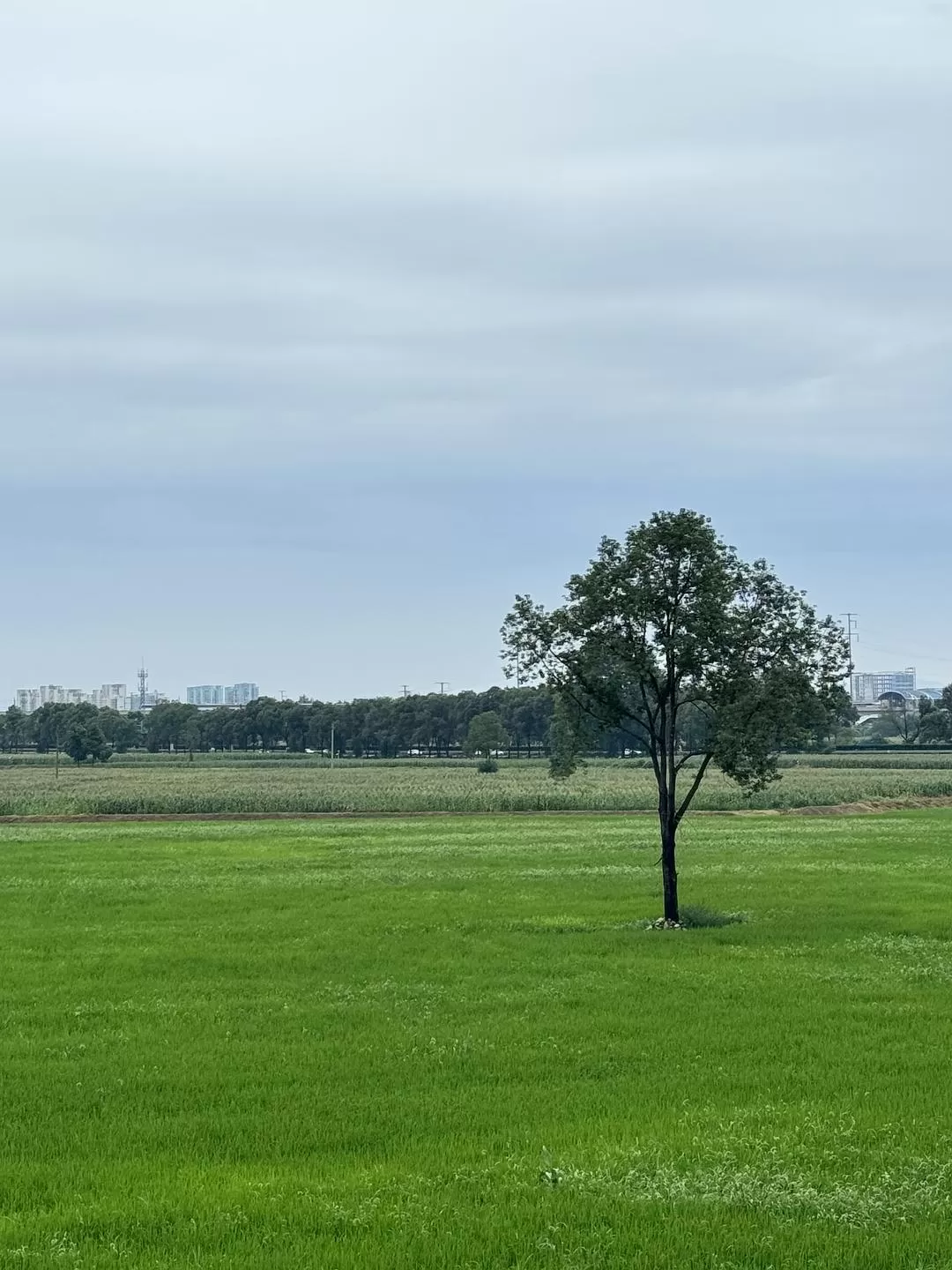 旅游推荐2024🏆年终旅行回顾，去了川西北海银川中卫贵阳扎尕那，满足于旅行带来的小美好