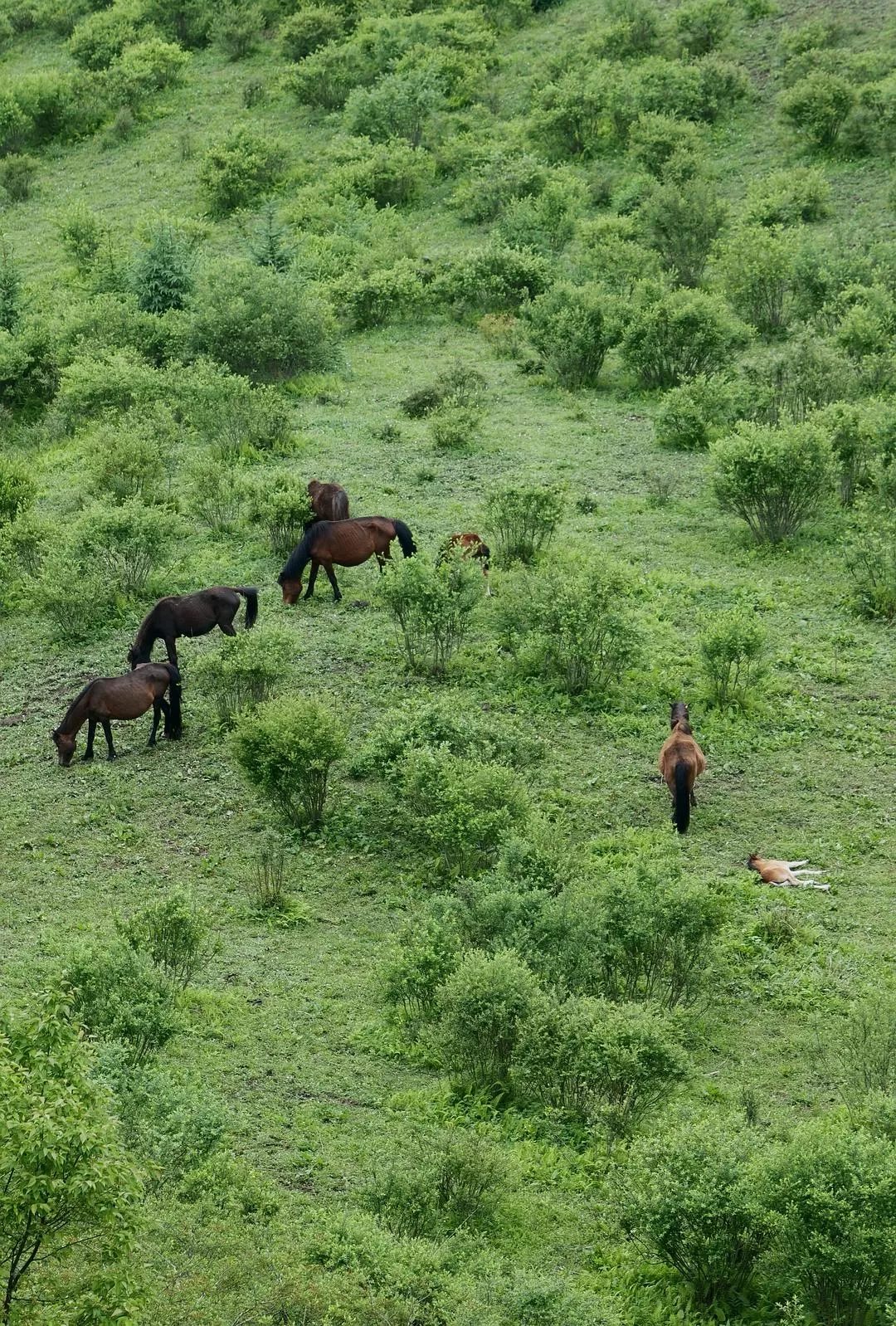 旅游推荐2024🏆年终旅行回顾，去了川西北海银川中卫贵阳扎尕那，满足于旅行带来的小美好