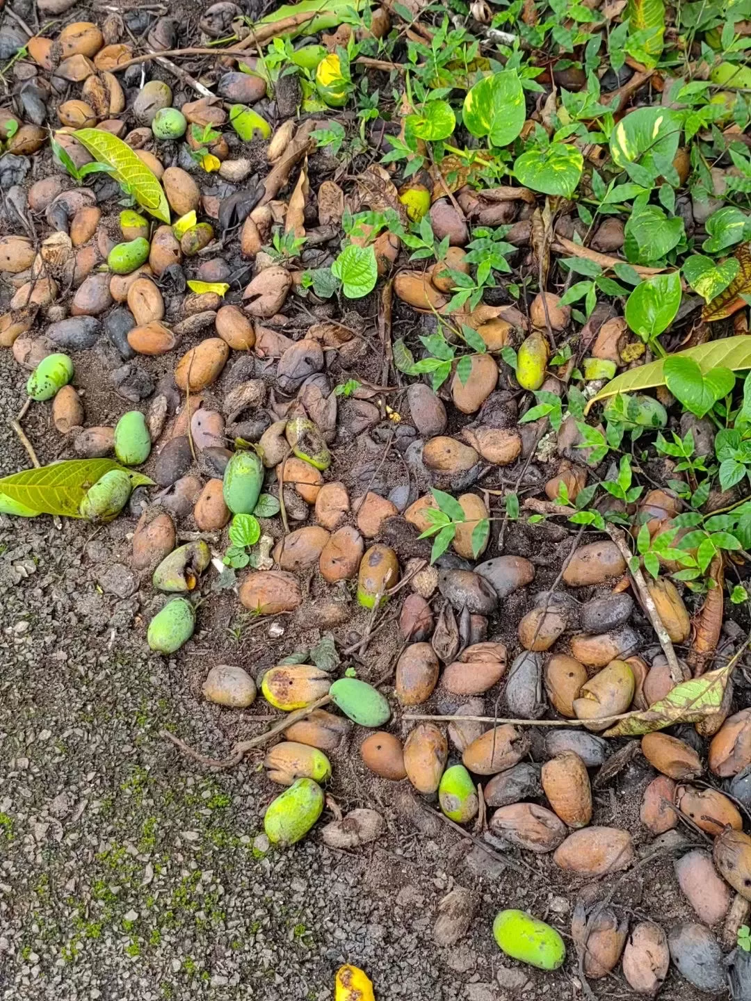 旅游推荐2024🏆年终旅行回顾，去了川西北海银川中卫贵阳扎尕那，满足于旅行带来的小美好