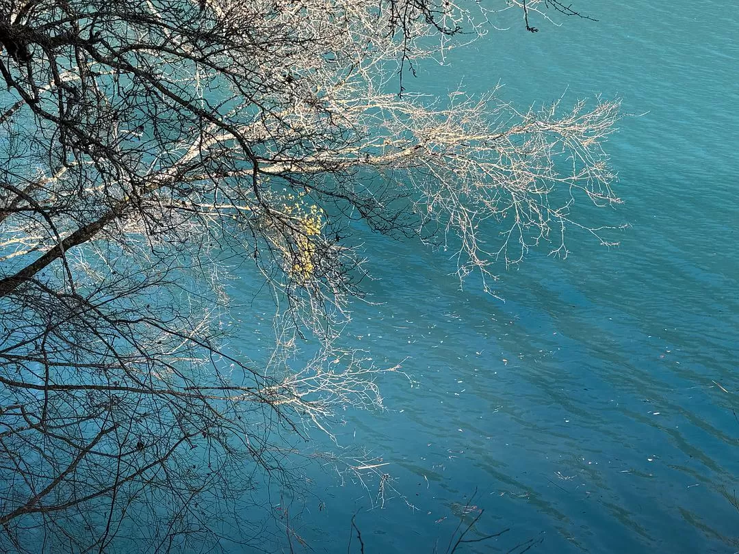 旅游推荐2024🏆年终旅行回顾，去了川西北海银川中卫贵阳扎尕那，满足于旅行带来的小美好