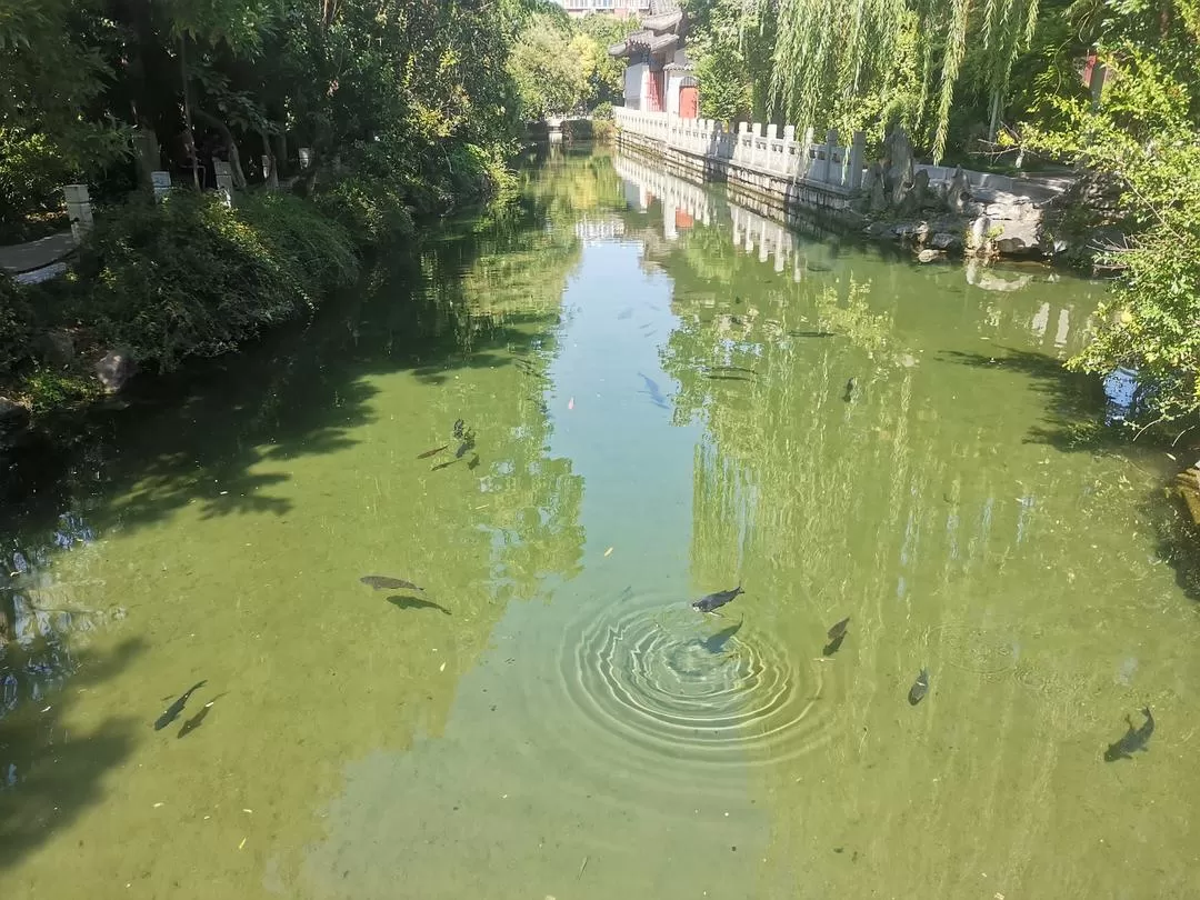 旅游💖推荐两人游：济南泉水清，可以濯我缨