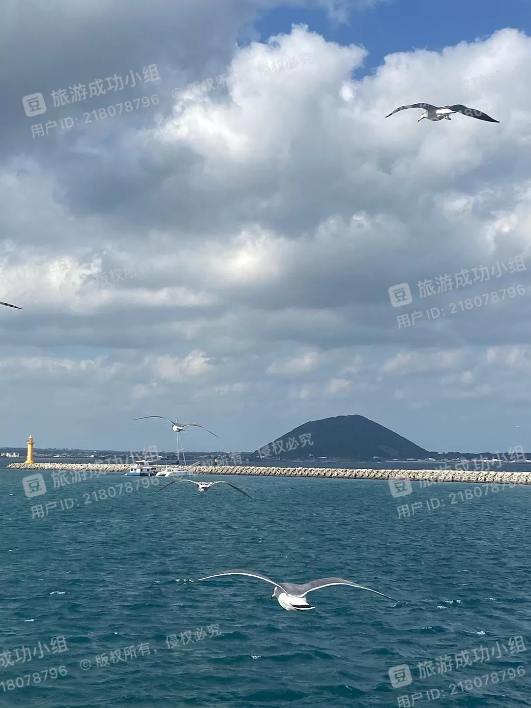 旅游推荐一人游:济州㊙️岛五天四晚超级成功!