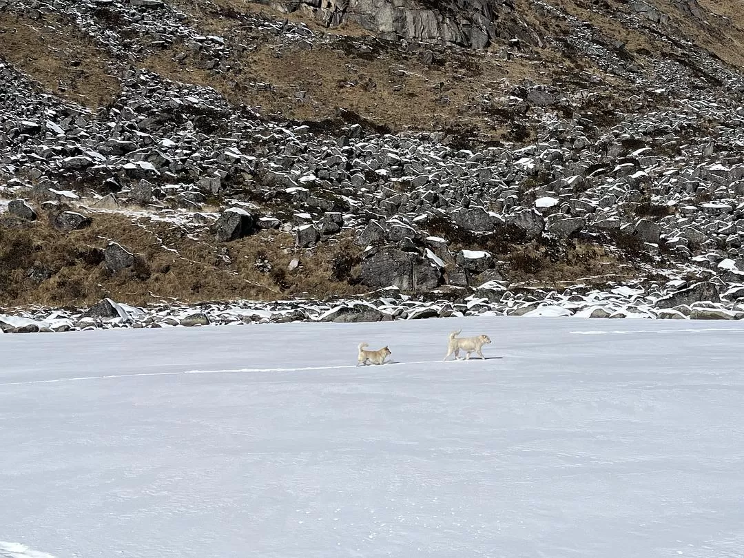 旅游推荐2024🏆年终旅行回顾，去了川西北海银川中卫贵阳扎尕那，满足于旅行带来的小美好