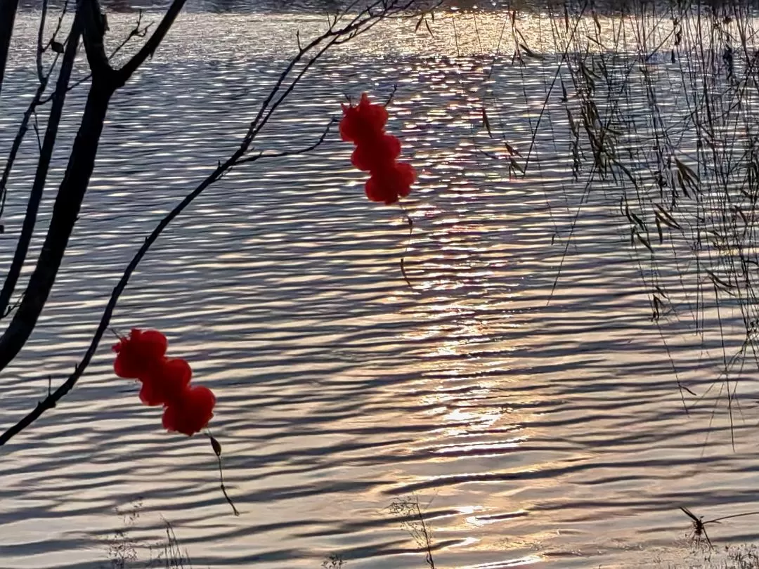 旅游推荐2024🏆年终旅行回顾，去了川西北海银川中卫贵阳扎尕那，满足于旅行带来的小美好