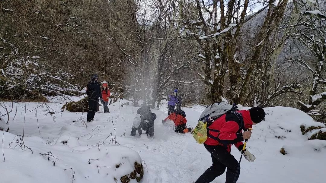 旅游推荐2024🏆年终旅行回顾，去了川西北海银川中卫贵阳扎尕那，满足于旅行带来的小美好
