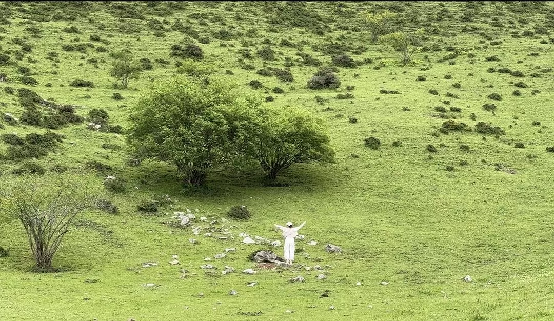 旅游推荐2024🏆年终旅行回顾，去了川西北海银川中卫贵阳扎尕那，满足于旅行带来的小美好