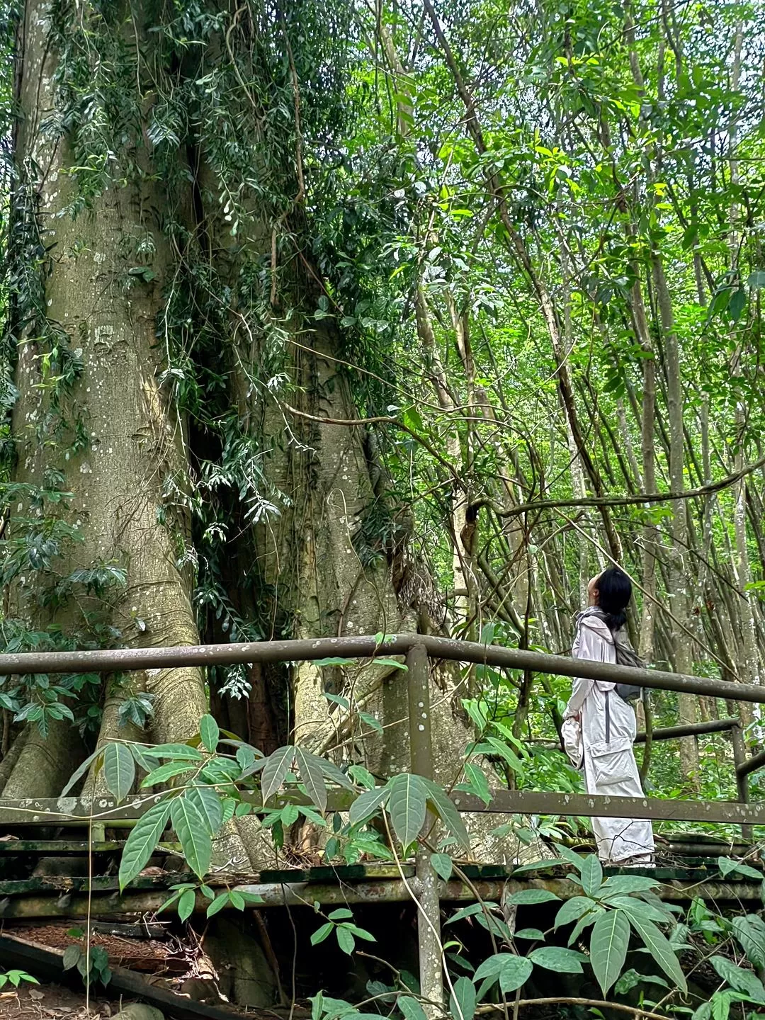 旅游推荐2024🏆年终旅行回顾，去了川西北海银川中卫贵阳扎尕那，满足于旅行带来的小美好