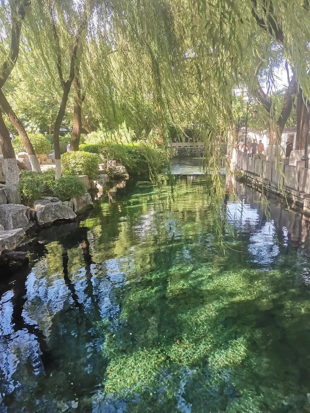 旅游💖推荐两人游：济南泉水清，可以濯我缨