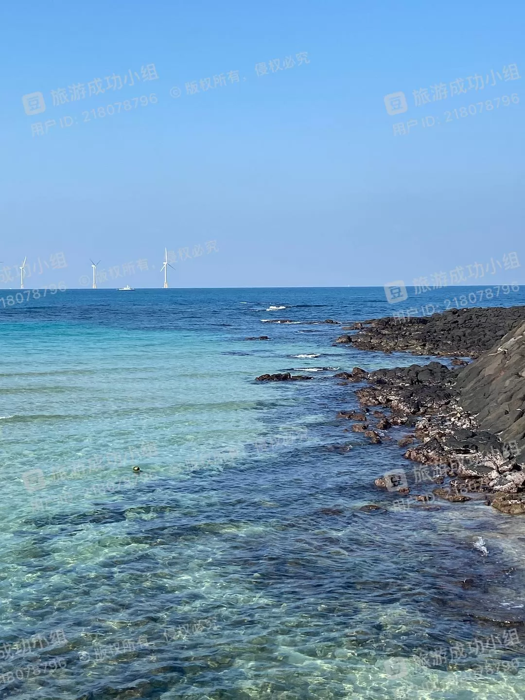旅游推荐一人游：济州㊙️岛五天四晚超级成功！