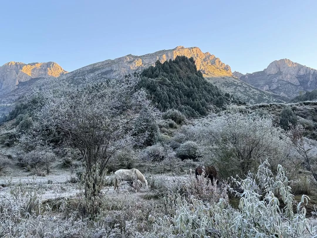 旅游推荐2024🏆年终旅行回顾，去了川西北海银川中卫贵阳扎尕那，满足于旅行带来的小美好