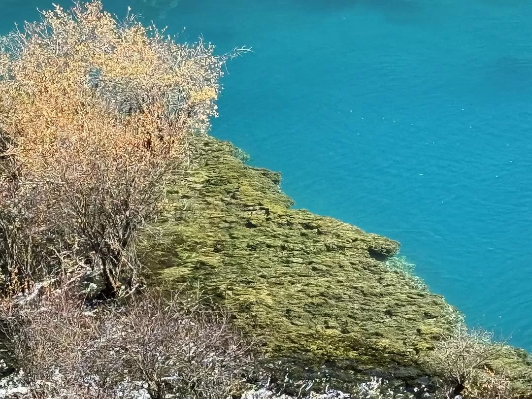 旅游推荐2024🏆年终旅行回顾，去了川西北海银川中卫贵阳扎尕那，满足于旅行带来的小美好