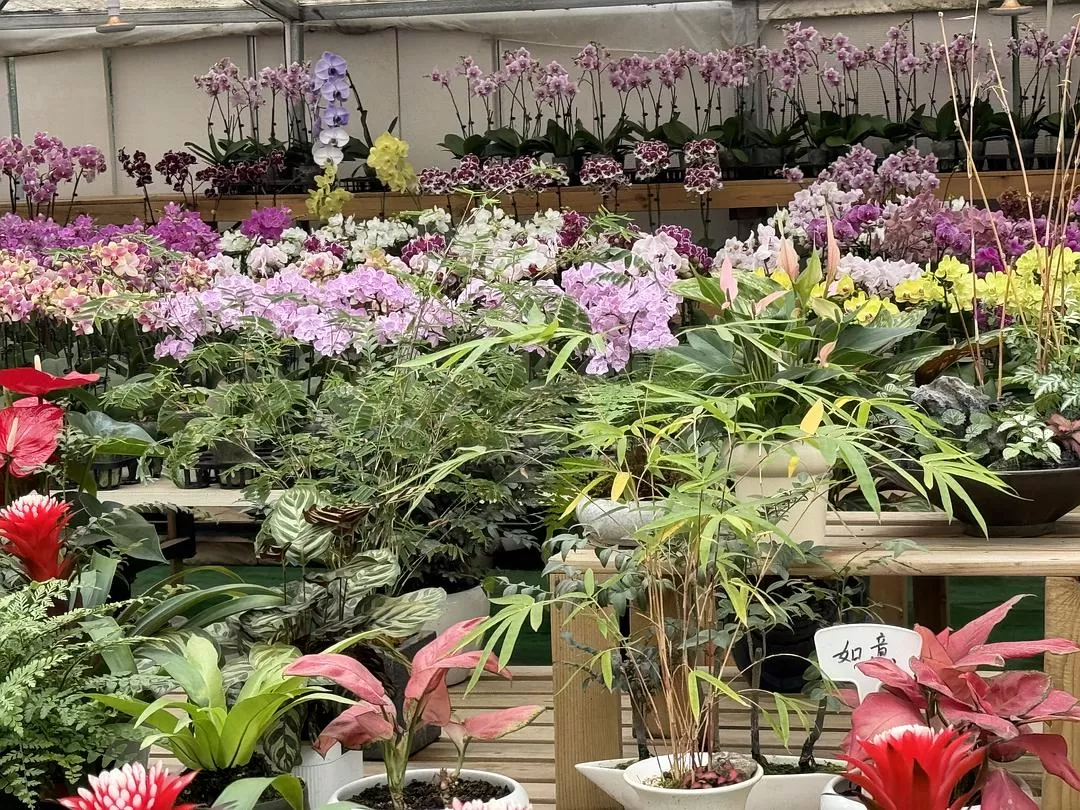 旅游推荐2024🏆年终旅行回顾，去了川西北海银川中卫贵阳扎尕那，满足于旅行带来的小美好