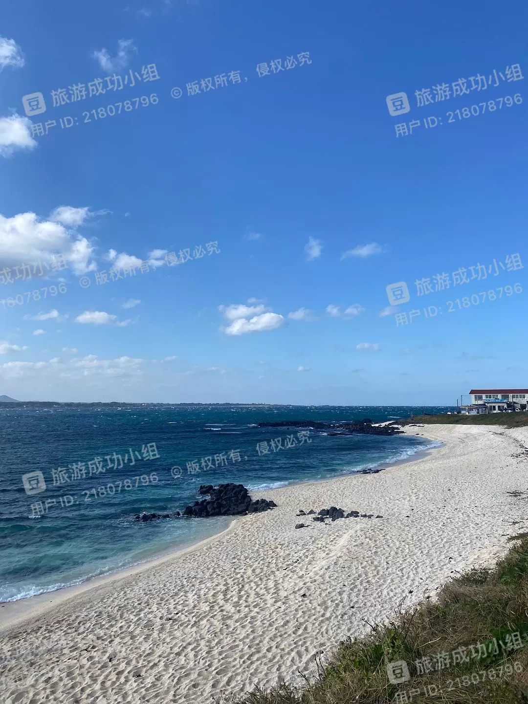 旅游推荐一人游：济州㊙️岛五天四晚超级成功！