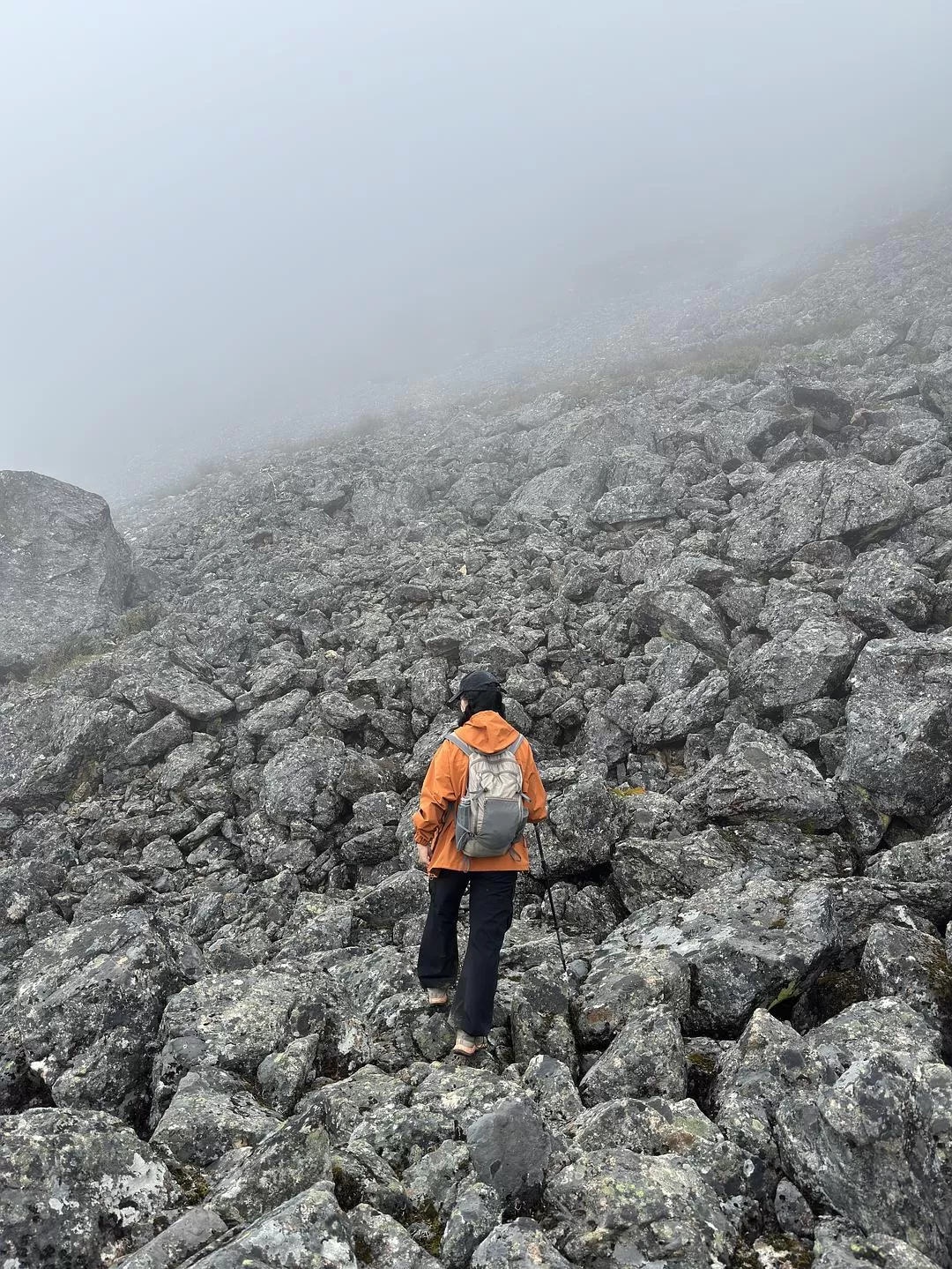 旅游推荐2024🏆年终旅行回顾，去了川西北海银川中卫贵阳扎尕那，满足于旅行带来的小美好