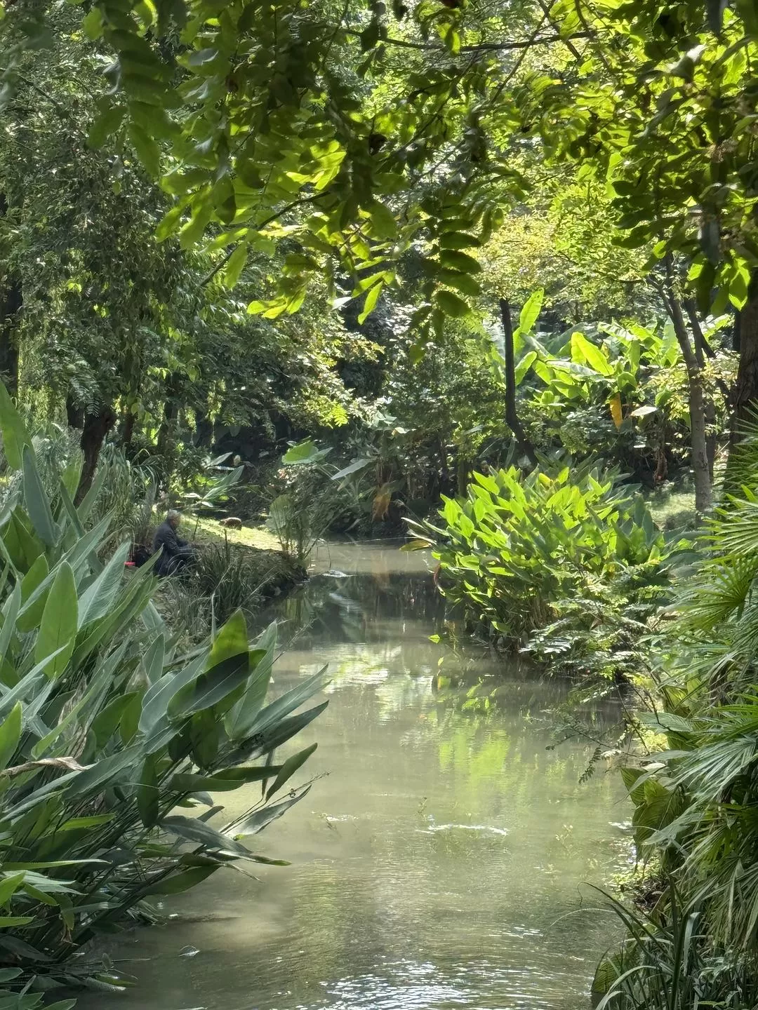 旅游推荐2024🏆年终旅行回顾，去了川西北海银川中卫贵阳扎尕那，满足于旅行带来的小美好