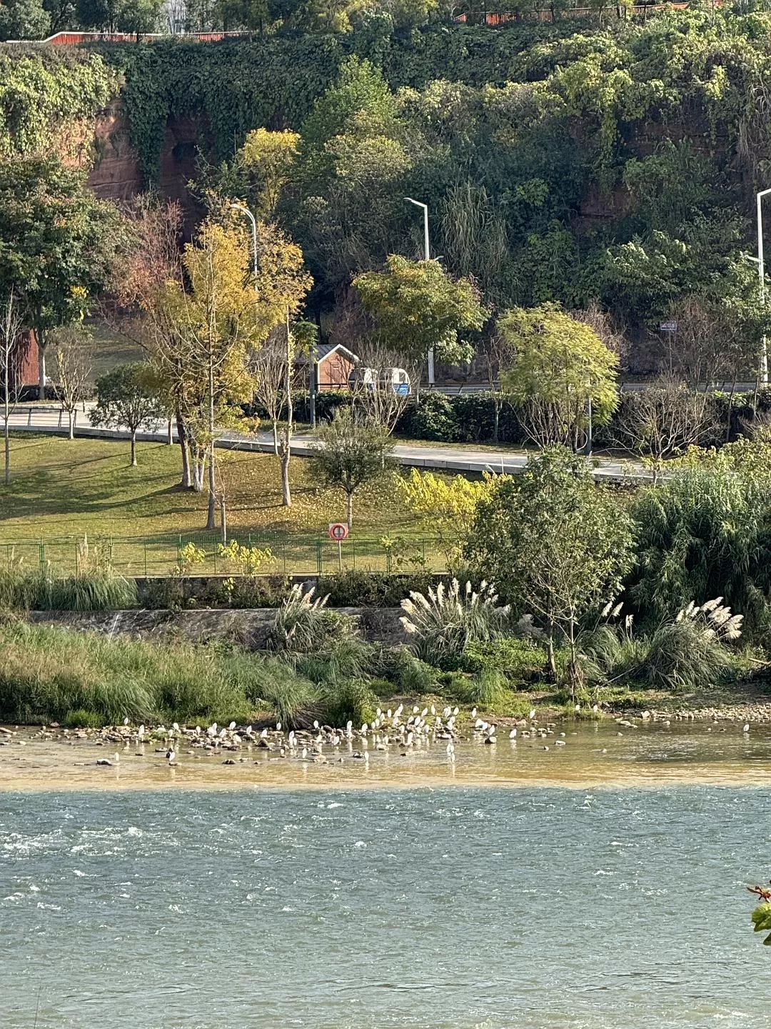 旅游推荐2024🏆年终旅行回顾，去了川西北海银川中卫贵阳扎尕那，满足于旅行带来的小美好