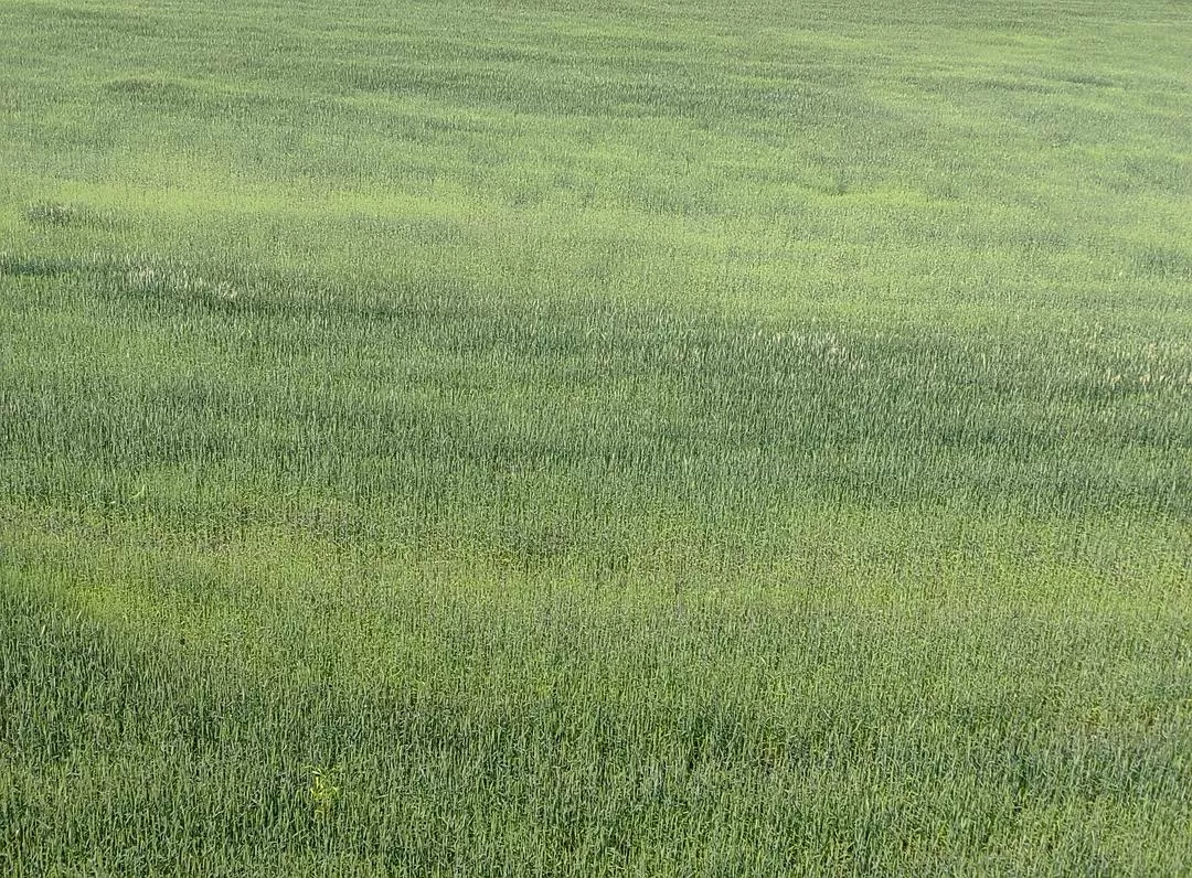 旅游推荐2024🏆年终旅行回顾，去了川西北海银川中卫贵阳扎尕那，满足于旅行带来的小美好