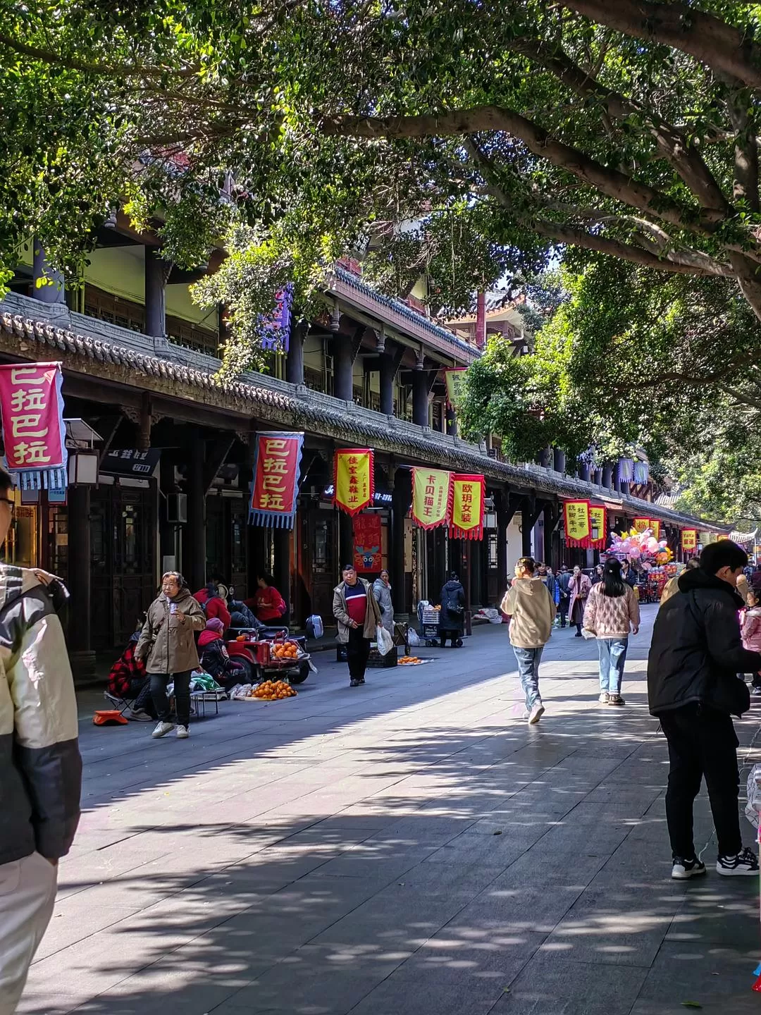 旅游推荐2024🏆年终旅行回顾，去了川西北海银川中卫贵阳扎尕那，满足于旅行带来的小美好