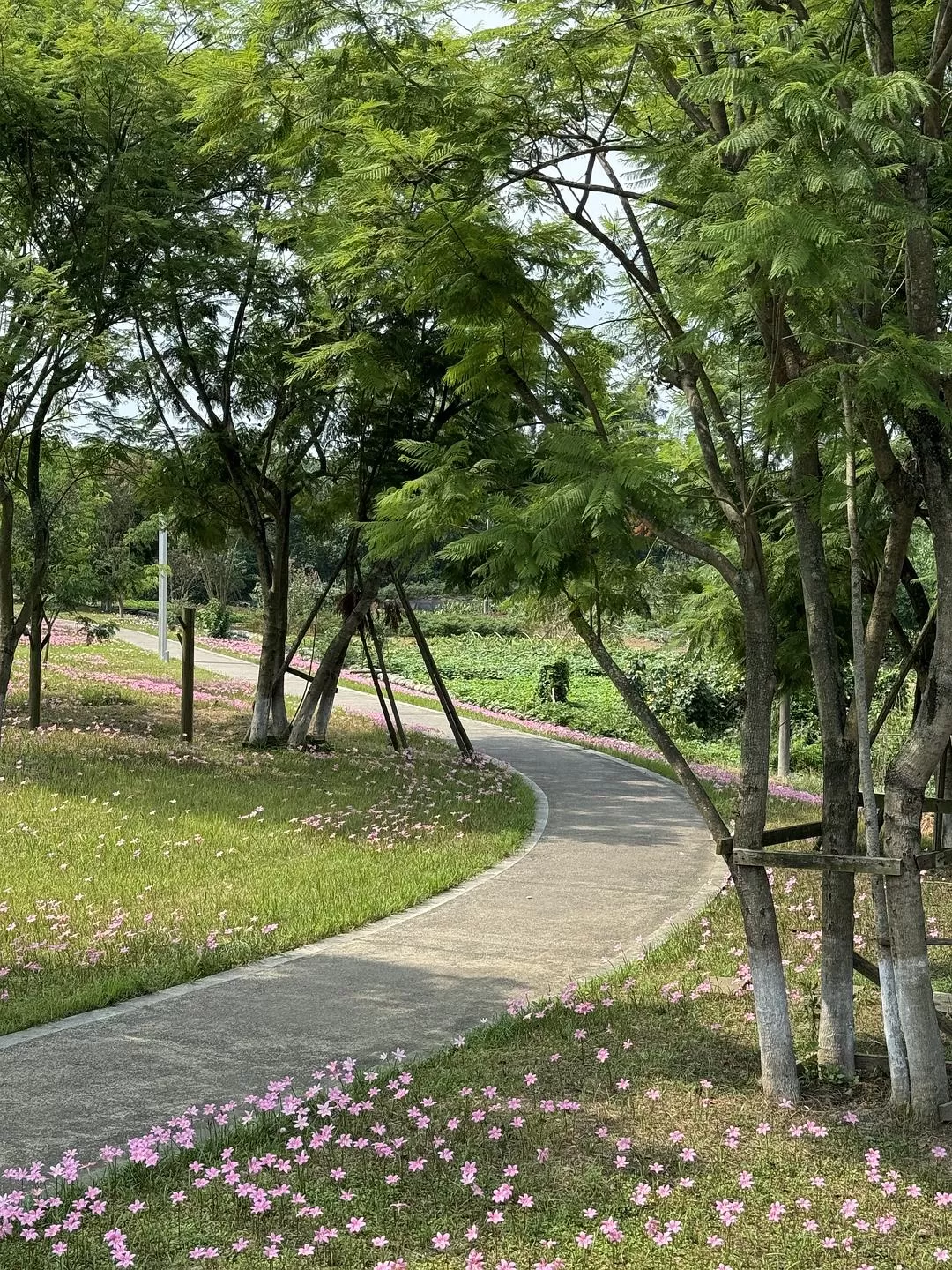 旅游推荐2024🏆年终旅行回顾，去了川西北海银川中卫贵阳扎尕那，满足于旅行带来的小美好