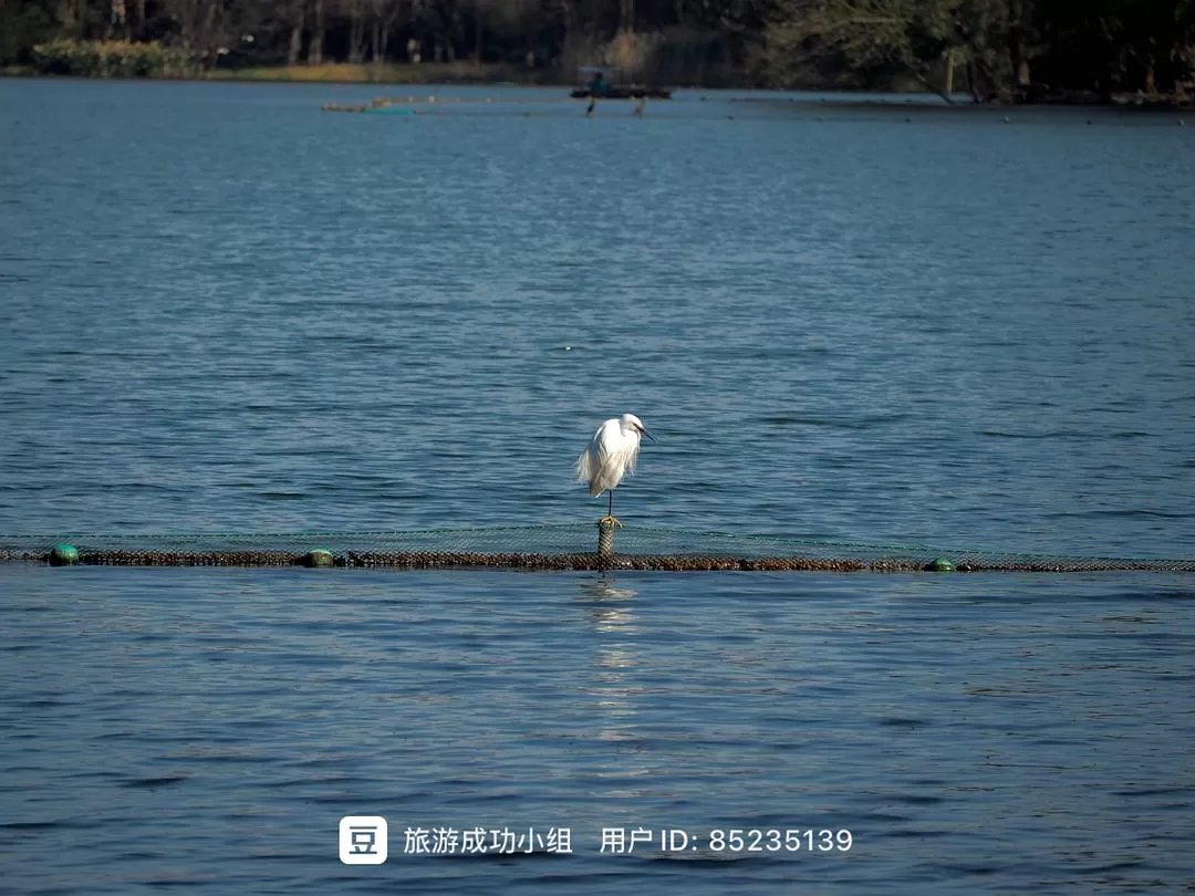 ㊙️旅游推荐杭州穷游暴走四天四晚（附路线）