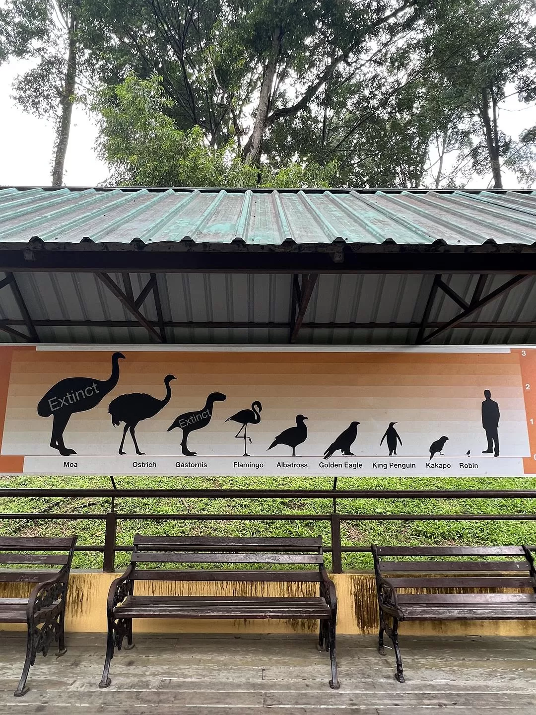 旅游推荐一人游：马来西亚吉隆坡+兰卡威跨年solo 🈲trip