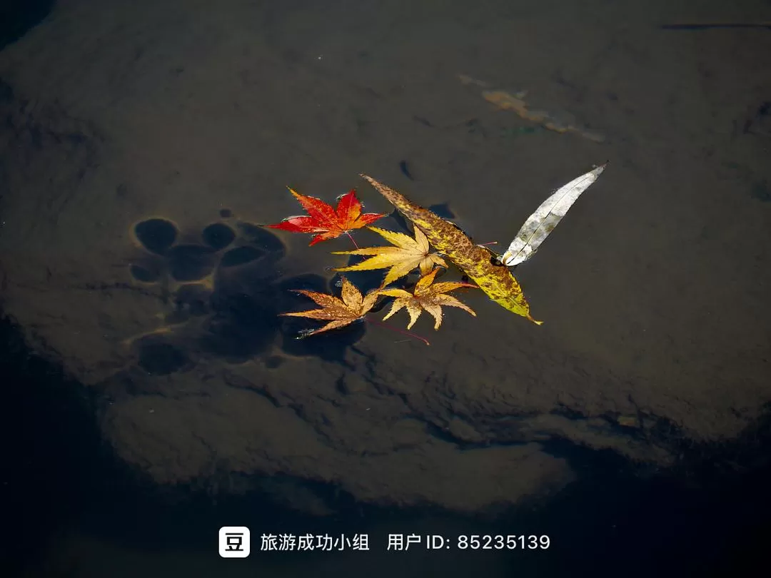 ㊙️旅游推荐杭州穷游暴走四天四晚（附路线）