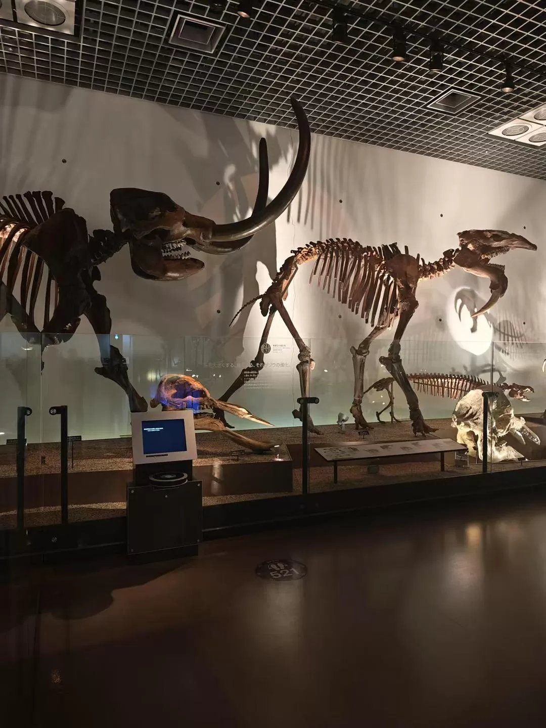 旅游推荐两人游💞：12.17-30日本14日(一)东京5日