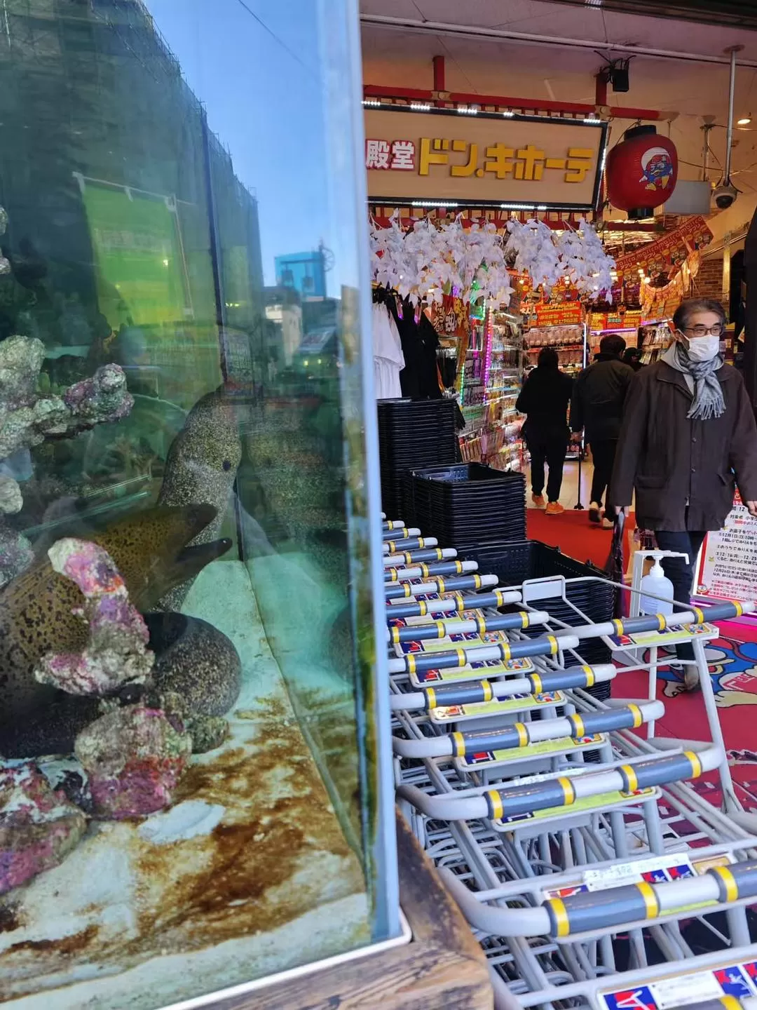 旅游推荐两人游💞：12.17-30日本14日(一)东京5日