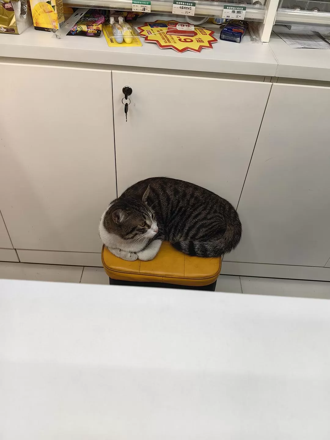 旅游推荐一人游：新年演唱会8天7晚广东行（🤬南京惠州佛山顺德）