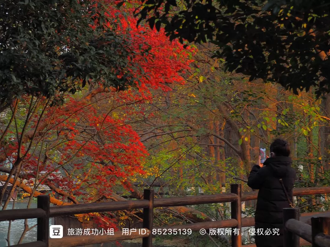 ㊙️旅游推荐杭州穷游暴走四天四晚（附路线）