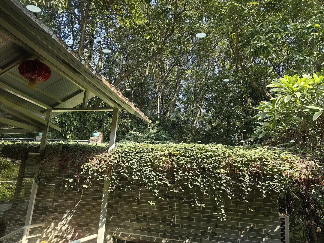 旅游推荐一人游：新年演唱会8天7晚广东行（🤬南京惠州佛山顺德）