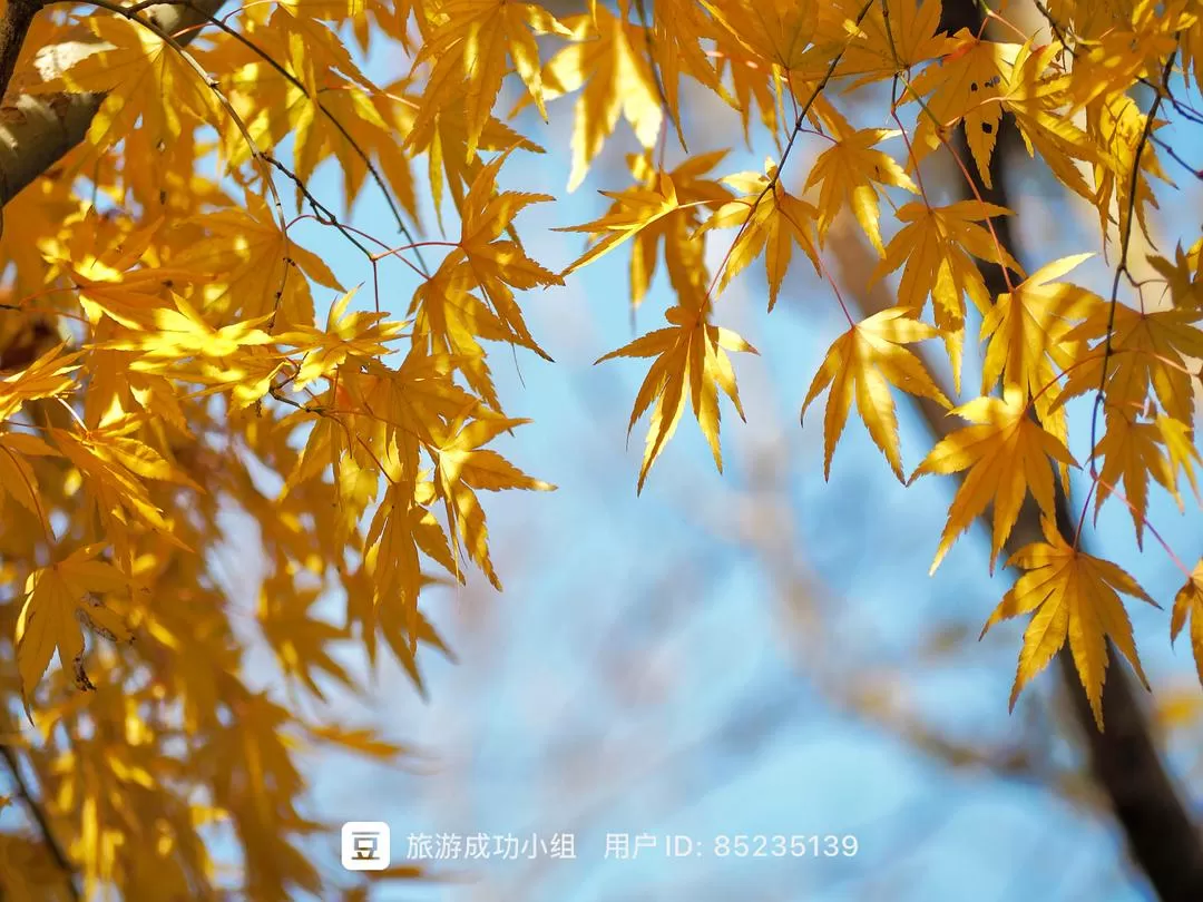 ㊙️旅游推荐杭州穷游暴走四天四晚（附路线）