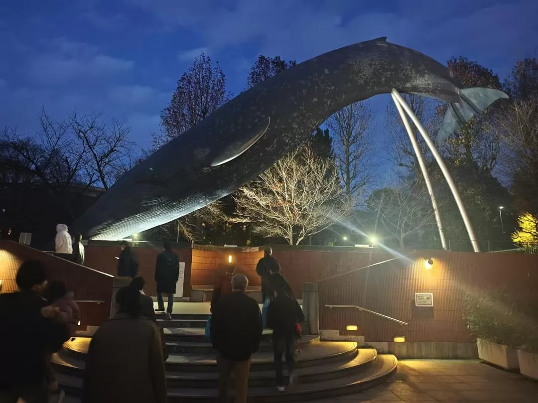 旅游推荐两人游💞：12.17-30日本14日(一)东京5日