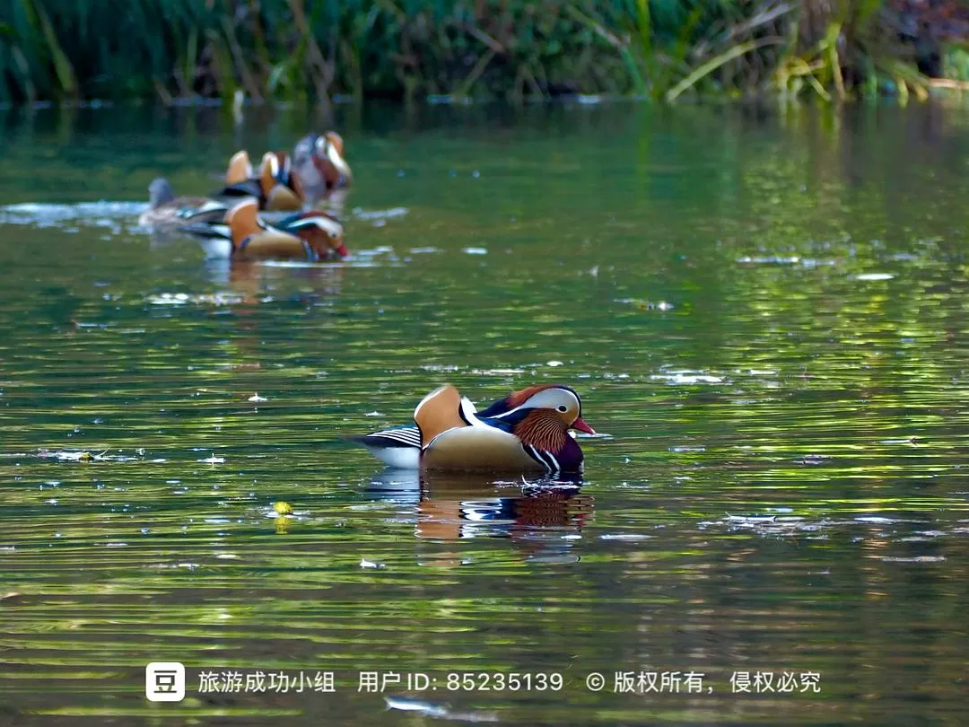 ㊙️旅游推荐杭州穷游暴走四天四晚（附路线）