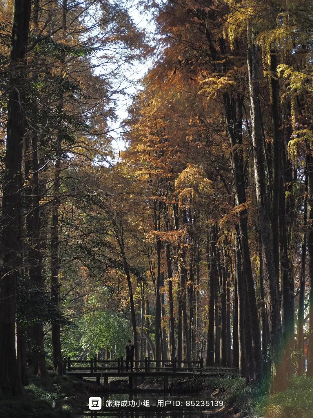 ㊙️旅游推荐杭州穷游暴走四天四晚（附路线）