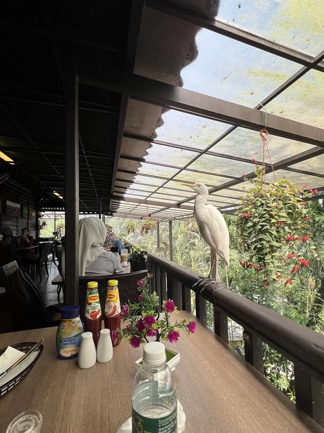 旅游推荐一人游：马来西亚吉隆坡+兰卡威跨年solo 🈲trip