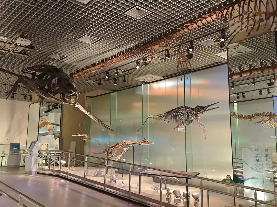 旅游推荐两人游💞：12.17-30日本14日(一)东京5日