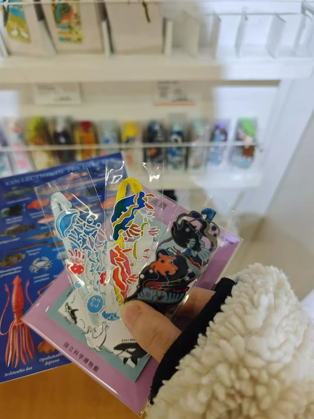 旅游推荐两人游💞：12.17-30日本14日(一)东京5日