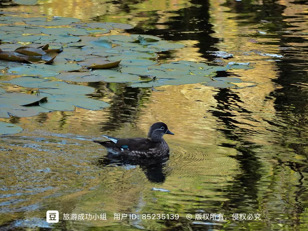 ㊙️旅游推荐杭州穷游暴走四天四晚（附路线）