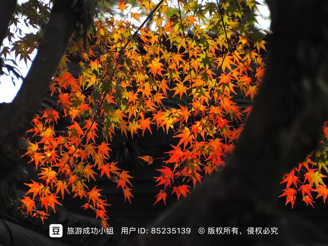 ㊙️旅游推荐杭州穷游暴走四天四晚（附路线）