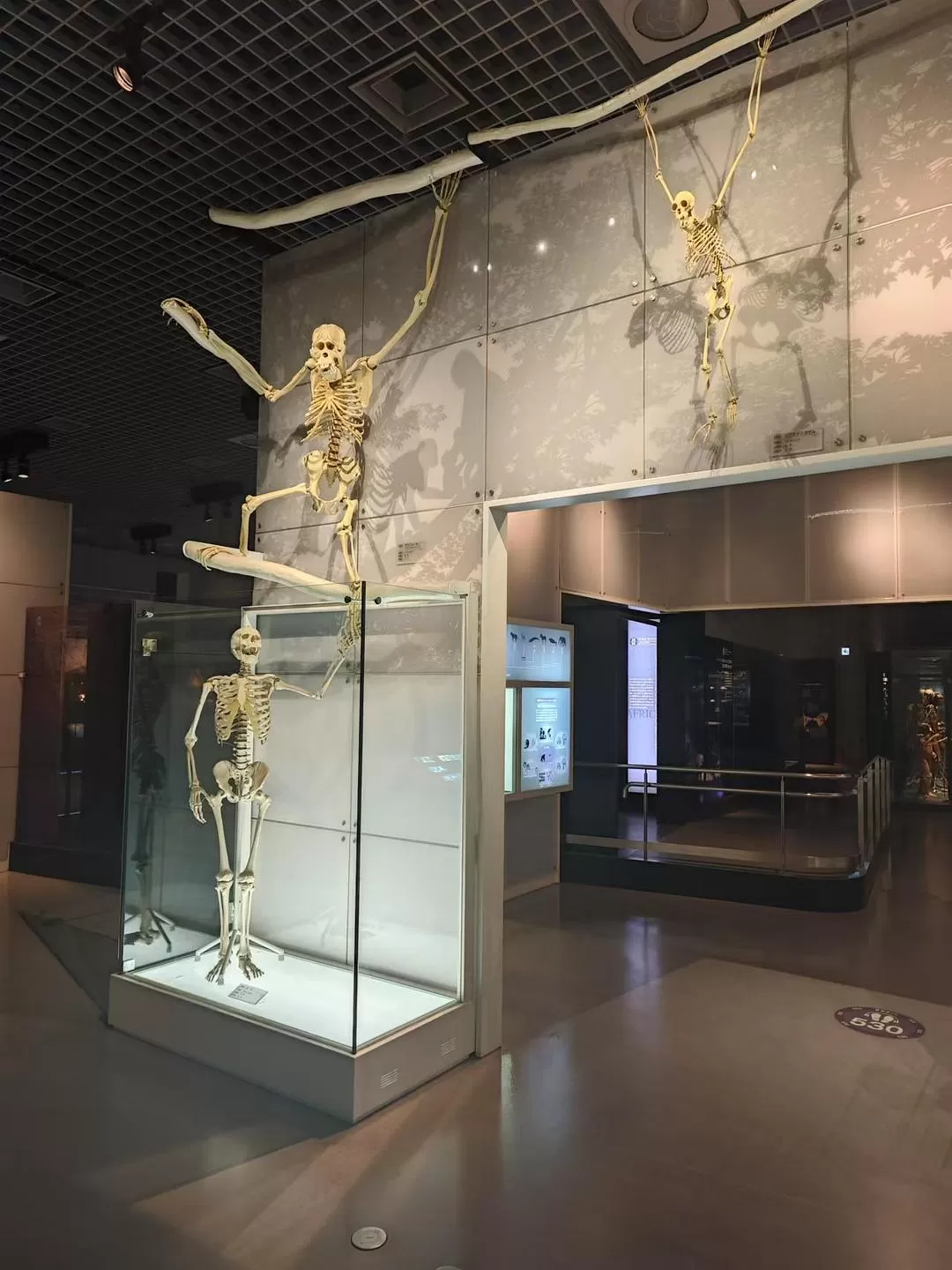 旅游推荐两人游💞：12.17-30日本14日(一)东京5日