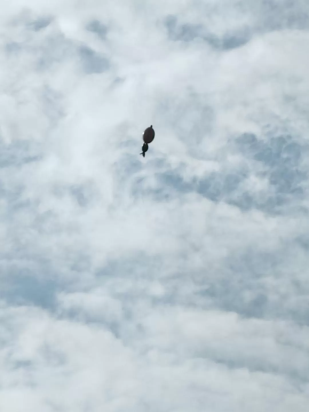 旅游推荐一人游：新年演唱会8天7晚广东行（🤬南京惠州佛山顺德）