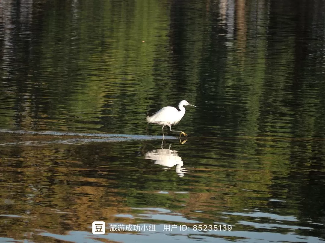 ㊙️旅游推荐杭州穷游暴走四天四晚（附路线）