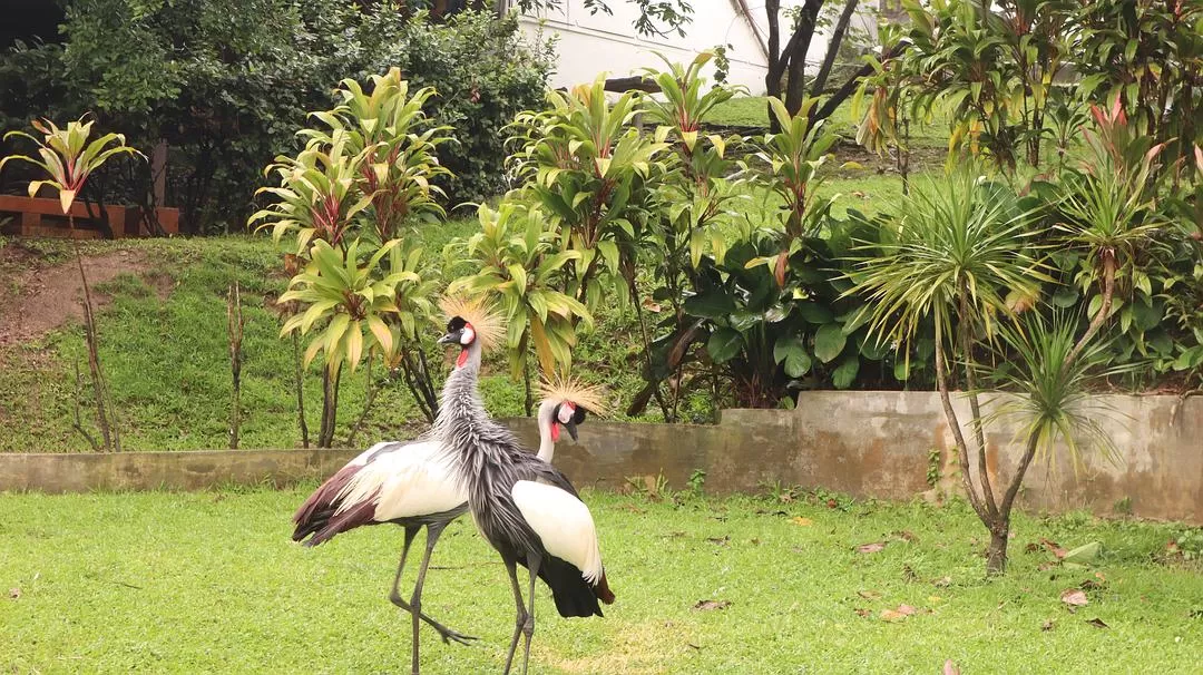旅游推荐一人游：马来西亚吉隆坡+兰卡威跨年solo 🈲trip